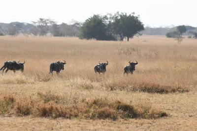 DSC_3392 (Large).JPG